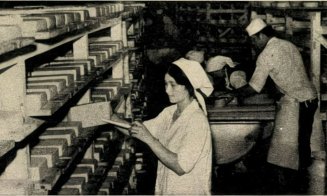 Brânza de Năsal (Cluj), descoperită de ţăranii care au furat caşul unui grof şi l-au ascuns într-o grotă. Care este adevărata istorie
