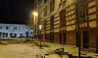 Noi copaci pe Universității