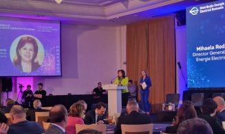 Forumul de Securitate Cibernetică în Energie de la Cluj / Mihaela Suciu: „Era foarte necesar un asemenea eveniment”