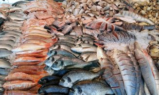 Medic: Trebuie să evităm consumul de peşte exotic şi să fim atenţi la conserve. Pot conţine biotoxine otrăvitoare
