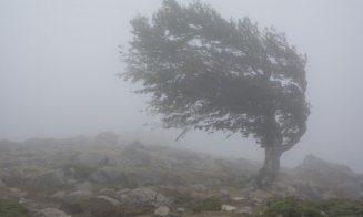 Avertizare meteorologică în Cluj: Cod galben de vânt și scădere bruscă a temperaturilor