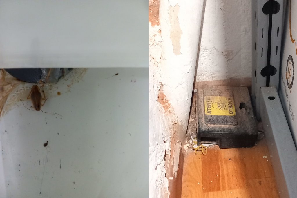 Home Garden amendat cu 15.000 lei și închis temporar de ANPC Cluj pentru gândaci, mizerie și produse expirate. A fost redeschis după remedierea deficiențelor
