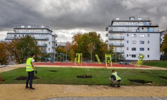 Cum merg lucrările la parcurile Observator și Feroviarilor. Boc: "În primăvară le veți vedea înfloritoare"
