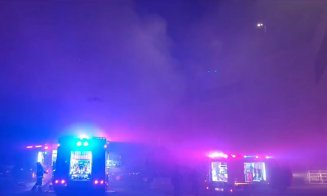 Ce a provocat incendiul de lângă Iulius Mall. Trei tineri, cercetați pentru distrugere