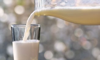 Buda: Peste 50% din consumul de lapte din România este din import