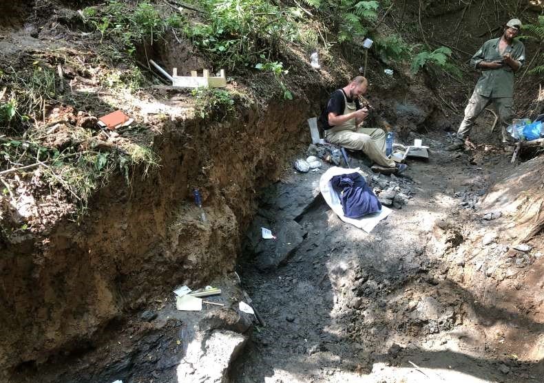 Fosile de dinozaur, unice în lume, descoperite în Transilvania. Fragmentele osoase au o vechime de 70 de milioane de ani