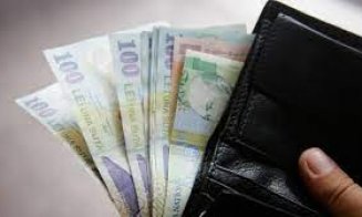 2023:  o gospodărie a avut  venituri de 7.301 lei şi cheltuieli de 6.432 lei