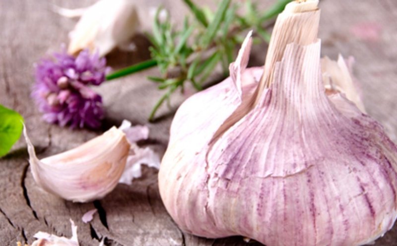 Planta-condiment din bucătărie, minune pentru sănătate. Leac pentru mai multe boli, se luptă cu cancerul și cu infecțiile