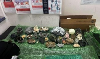 Un număr de 45 de flori de mină, găsite în bagajul unei femei pe Aeroportul Cluj-Napoca