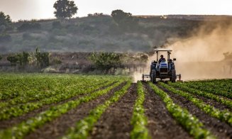 Fermierii români ar putea primi ajutoare de stat de peste 161 de milioane de euro prin ''Creditul Fermierului'' (proiect)