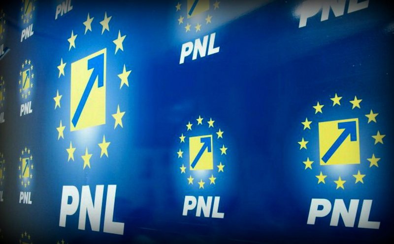 Ciucă: "Iulian Dumitrescu şi-a dat demisia pentru a evita prejudiciul de imagine adus PNL"