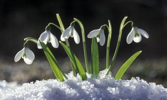 Ploi și lapoviță în acest weekend. De luni însă, un val de aer tropical va aduce temperaturi neobișnuite