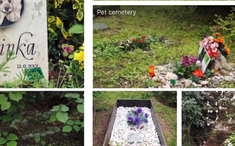 Cimitir special pentru animale de companie la Cluj. Boc: „Trebuie să le prețuim”