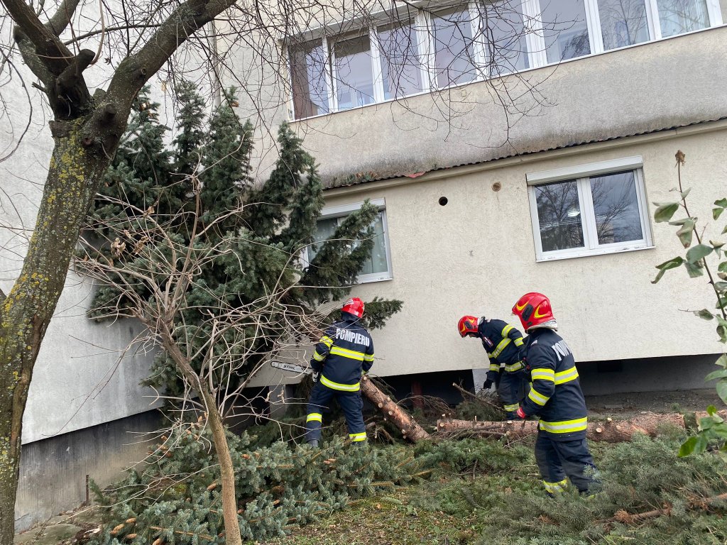 Vântul puternic face ravagii în Cluj-Napoca. Brad căzut peste un balcon, tablă desprinsă de pe acoperișul unei clădiri și țigle căzute