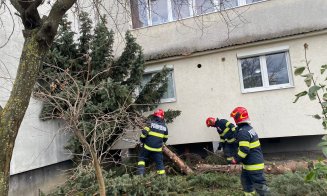 Vântul puternic face ravagii în Cluj-Napoca. Brad căzut peste un balcon, tablă desprinsă de pe acoperișul unei clădiri și țigle căzute
