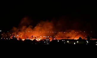 INCENDIU în zona Someșeni! Arde stufărișulul pe o suprafață de 500mp