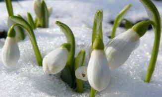 Vine, vine, primăvara! Vremea până la jumătatea lunii martie