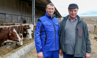 Un tânăr din Cluj a venit cu o idee ingenioasă pentru a salva ferma de vaci a familiei sale de la faliment