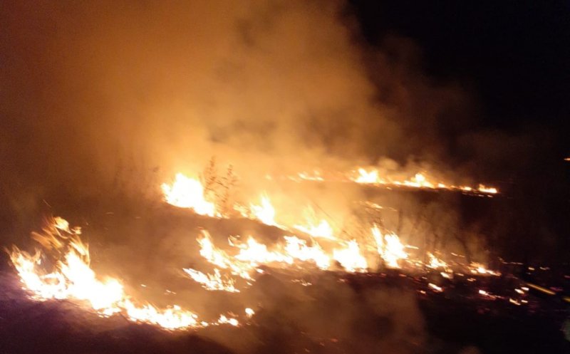 Incendiu de vegetație pe 3 ha. Au ars și baloți de fân