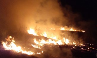 Incendiu de vegetație pe 3 ha. Au ars și baloți de fân