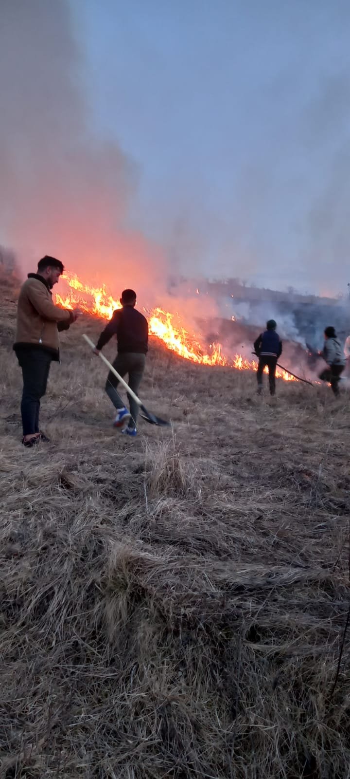 Clujenii nu se potolesc: INCENDII de VEGETAŢIE în zona localităţii Miceşti