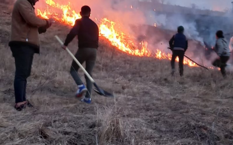 Clujenii nu se potolesc: INCENDII de VEGETAŢIE în zona localităţii Miceşti