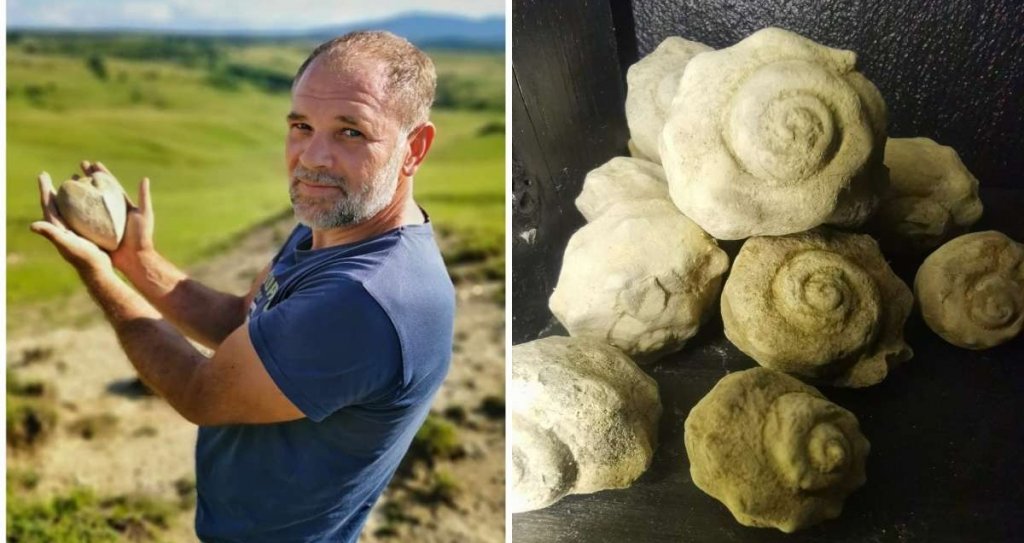 Un cuplu din Cluj a strâns peste 2.000 de fosile de moluște vechi de milioane de ani de pe dealurile din județ