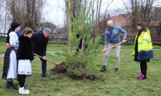 Comuna din Transilvania care va avea "cel mai spectaculos parc" din mediul rural. Vor fi plantați peste 25.000 de arbori