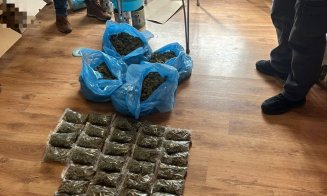 Un "grădinar" din Cluj, prins cu zeci de plante de cannabis în propria locuință