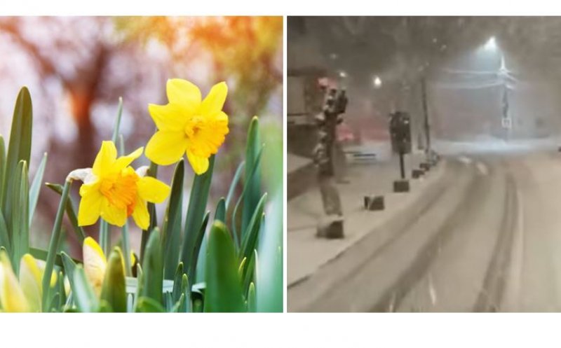 Vreme la extreme în România: În estul țării ninge ca-n povești, la Cluj e primăvară!