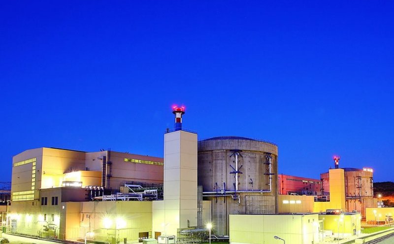 Dividende la Nuclearelectrica. Cât ar primi acționarii de la compania de stat și când vor fi plătiți