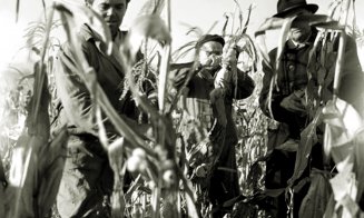 Amintiri din Cluj: Muncă patriotică, 1965