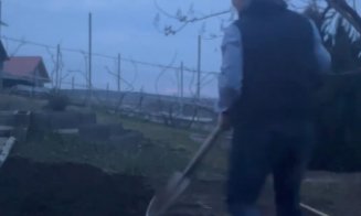 Primarul Clujului, Emil Boc, își pregătește grădina pentru recoltă: „Roșii bio, sănătate curată!”
