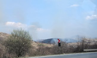 10 hectare pârjolite într-o localitate din județul Cluj / Dezastru ecologic provocat de incendiile de vegetație