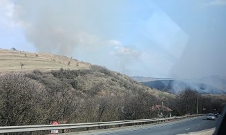 10 hectare pârjolite într-o localitate din județul Cluj / Dezastru ecologic provocat de incendiile de vegetație