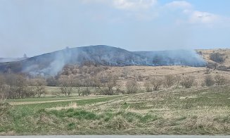 10 hectare pârjolite într-o localitate din județul Cluj / Dezastru ecologic provocat de incendiile de vegetație