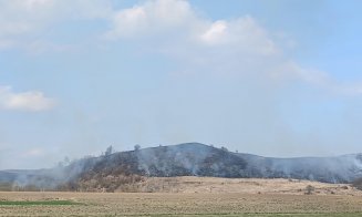 10 hectare pârjolite într-o localitate din județul Cluj / Dezastru ecologic provocat de incendiile de vegetație