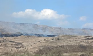 10 hectare pârjolite într-o localitate din județul Cluj / Dezastru ecologic provocat de incendiile de vegetație