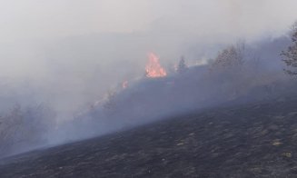 Incendiu de vegetație într-o comună din Cluj. Pompierii luptă să stingă flăcările