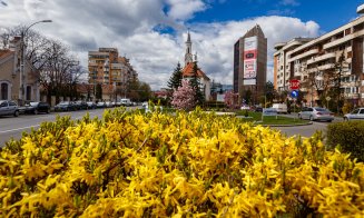 Primăvara își face simțită prezența în Cluj-Napoca