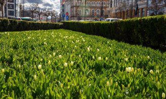 Primăvara își face simțită prezența în Cluj-Napoca