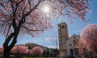 Primăvara își face simțită prezența în Cluj-Napoca