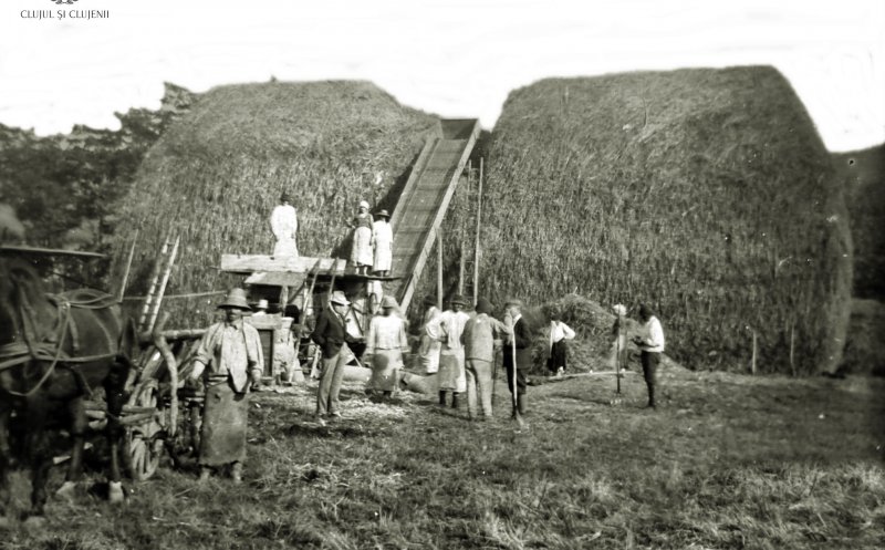 Fânațele Clujului, 1927. Era casă pentru specie dispărută de viperă