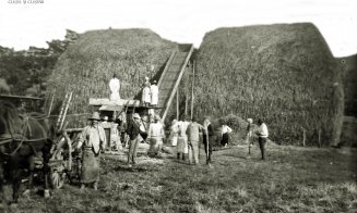 Fânațele Clujului, 1927. Era casă pentru specie dispărută de viperă