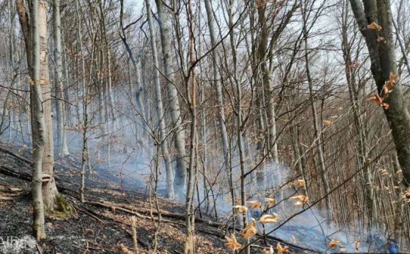 Incendiu masiv de vegetaţie în două comune din Apuseni. Pompierii din Alba au intervenit