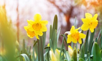 Meteorologii au actualizat prognoza pe luna aprilie! Cum va fi vremea de Florii