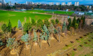 Copacii Carbochim se păstrează. Revin în același loc, într-un nou parc deschis către Someș, parte din proiectul de reconversie a fostei platforme indu