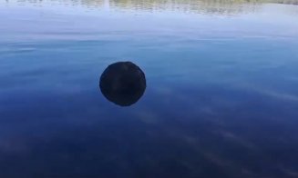 O mină marină a fost descoperită în Delta Dunării. Armata a trimis scafandri în zonă ca să o distrugă