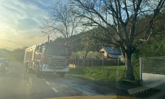 Incendiu în pădurea Făget! Pompierii au intervenit