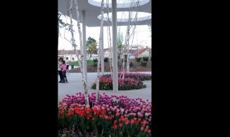 Primăvara în noul Parc Feroviarilor